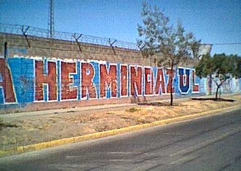 Murales_hermindazul.jpg